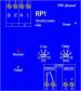 RP1 - zpětná wattová ochrana kombinovaná s převodníkem výkonu